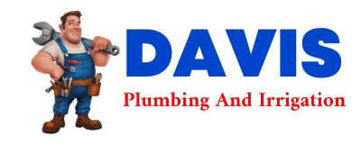 Trusted plumber in SAINT ELMO